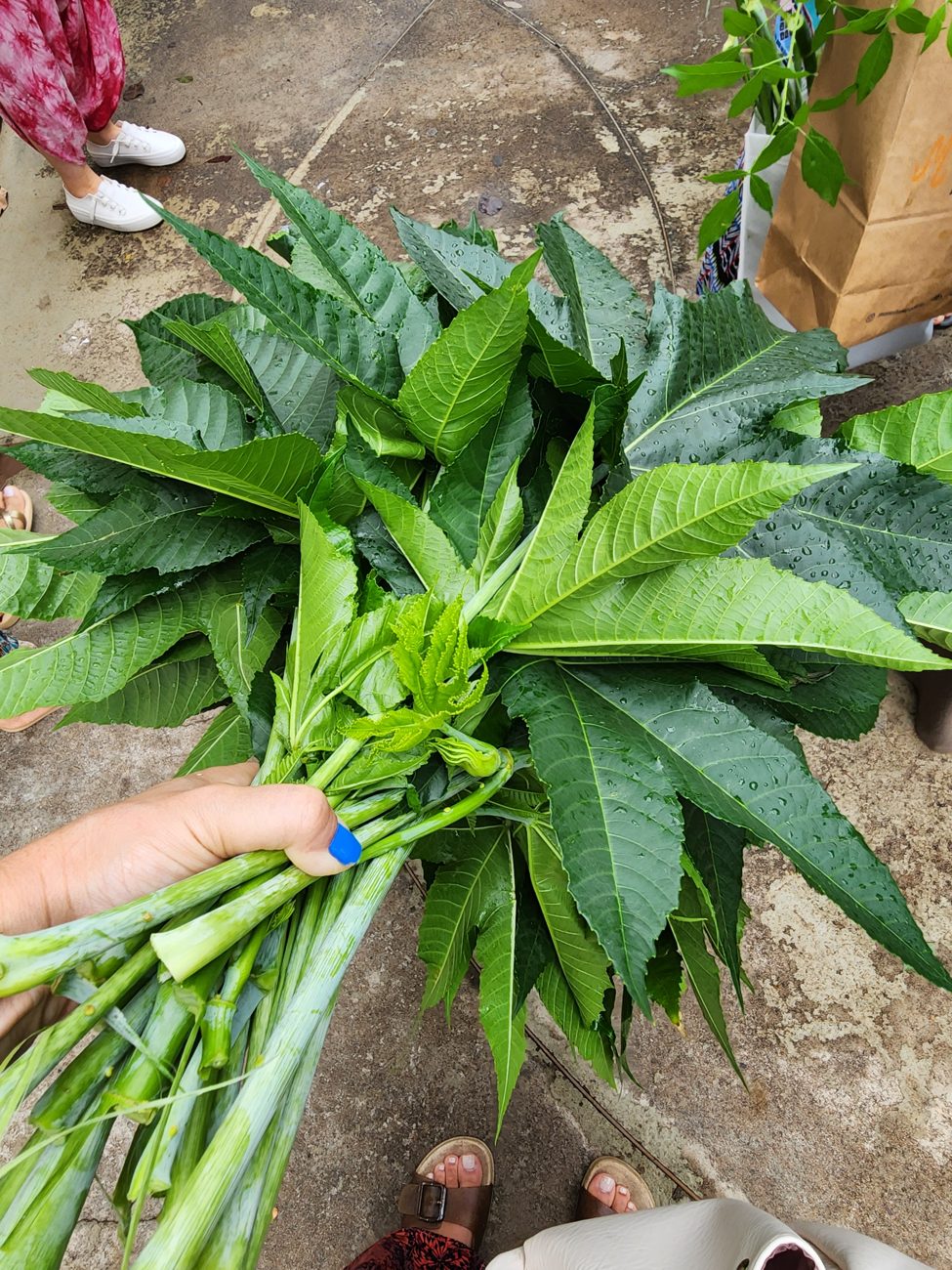 Ayurveda na Arte Om, consulta e terapias